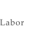 Labor